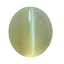 Chrysobryl-square shape